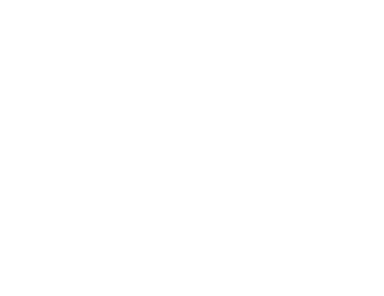 V4 Company